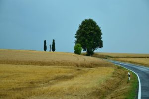 landscape_roadside_performance_mowing